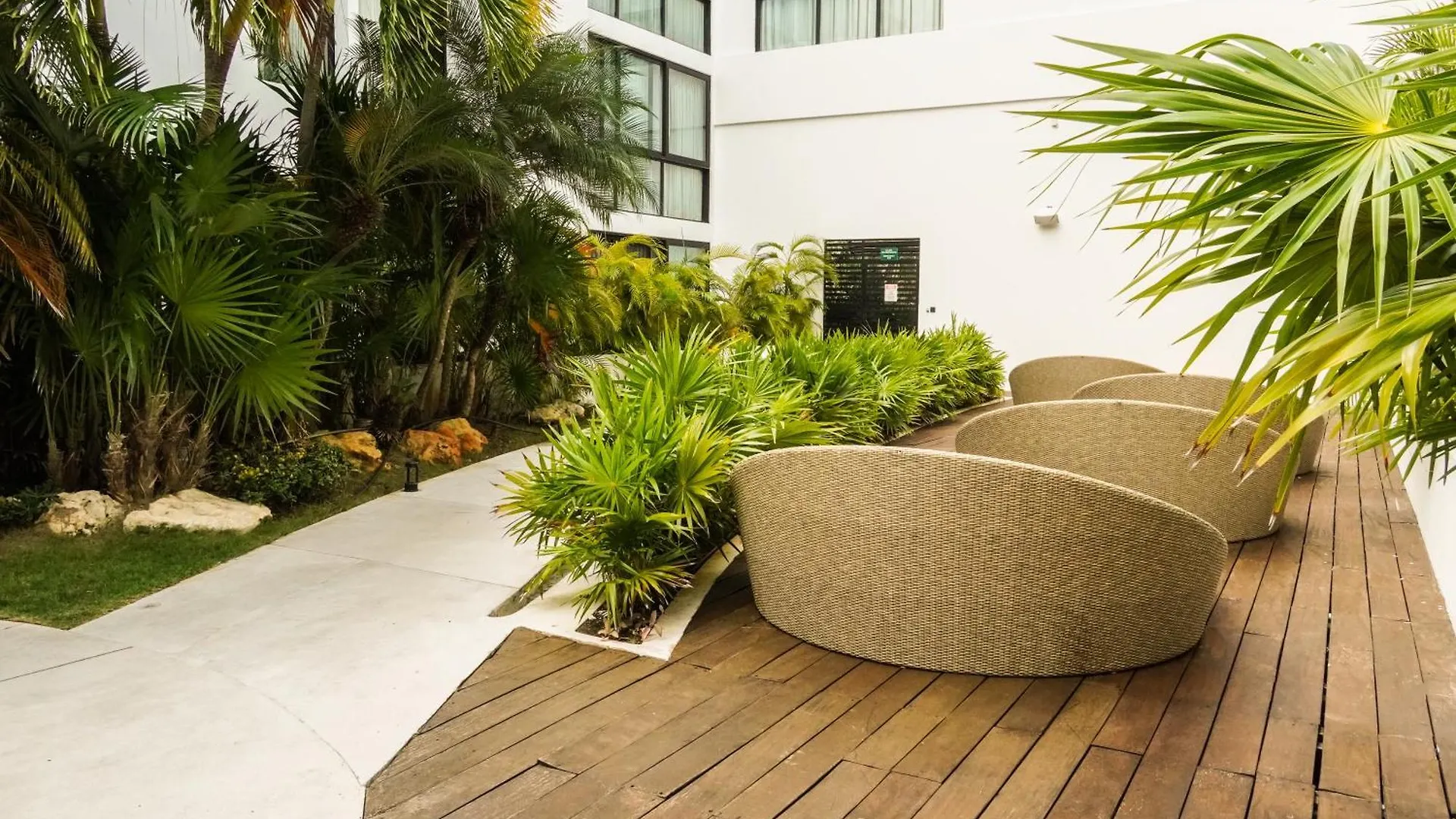 شقة Penthouse Zona Centro Quinta Av 2Bd,2 Bt بلايا ديل كارمن
