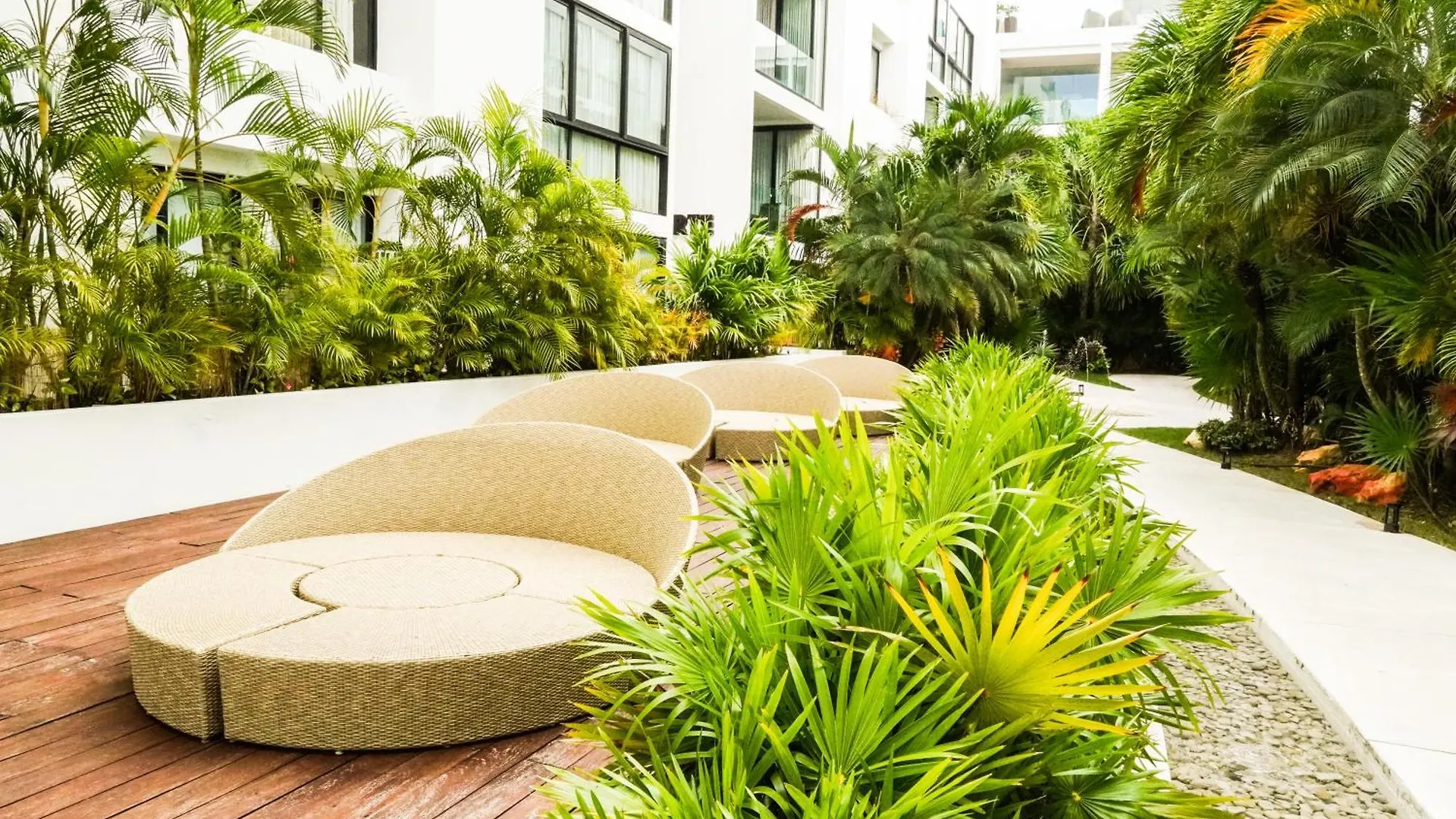 شقة Penthouse Zona Centro Quinta Av 2Bd,2 Bt بلايا ديل كارمن